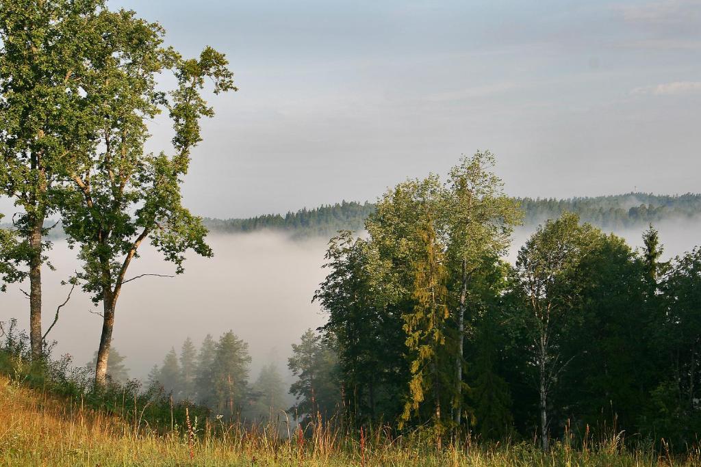 Kempings Ozolkalns Cesis Exterior photo